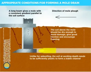 How mole draining works