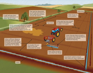 Improving drainage with mole draining